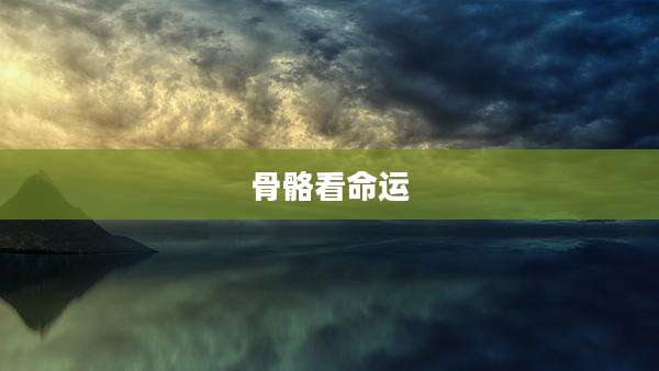 骨骼看命运