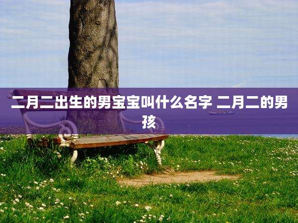 二月二出生的男宝宝叫什么名字 二月二的男孩