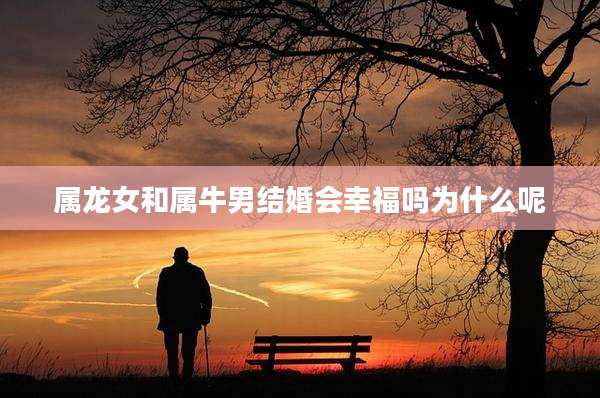 属龙女和属牛男结婚会幸福吗为什么呢