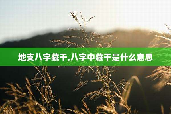地支八字藏干,八字中藏干是什么意思