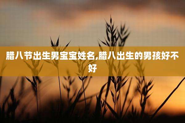 腊八节出生男宝宝姓名,腊八出生的男孩好不好