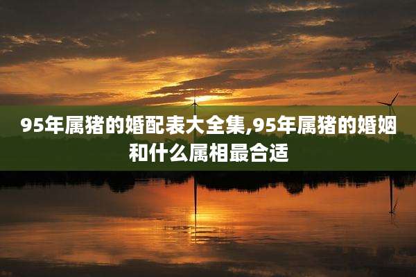 95年属猪的婚配表大全集,95年属猪的婚姻和什么属相最合适