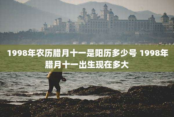 1998年农历腊月十一是阳历多少号 1998年腊月十一出生现在多大