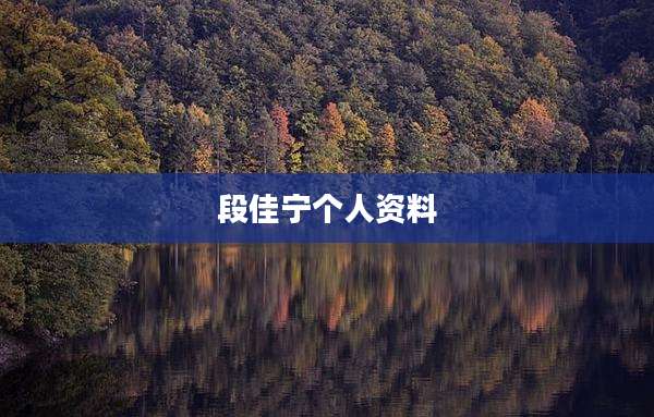 段佳宁个人资料
