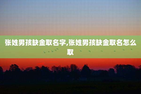 张姓男孩缺金取名字,张姓男孩缺金取名怎么取