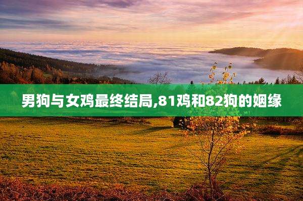 男狗与女鸡最终结局,81鸡和82狗的姻缘