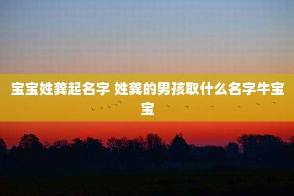 宝宝姓龚起名字 姓龚的男孩取什么名字牛宝宝