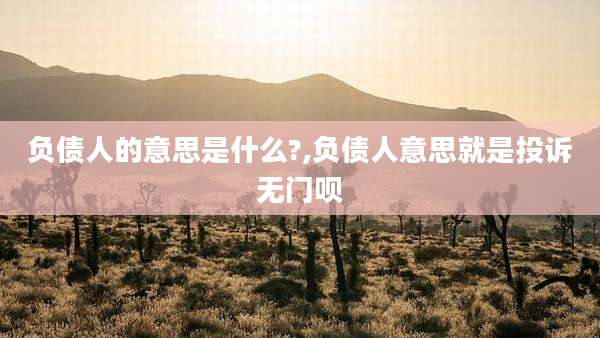 负债人的意思是什么?,负债人意思就是投诉无门呗