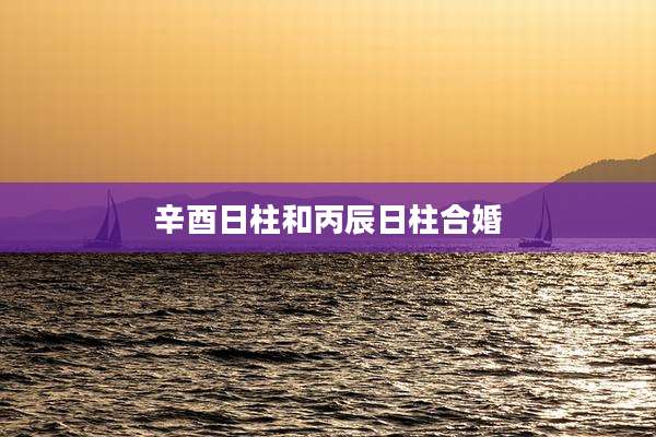 辛酉日柱和丙辰日柱合婚