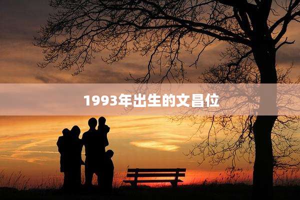 1993年出生的文昌位