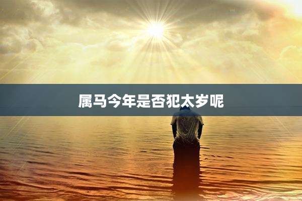 属马今年是否犯太岁呢