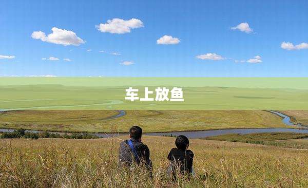车上放鱼