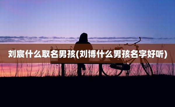 刘宸什么取名男孩(刘博什么男孩名字好听)