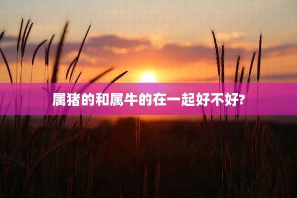 属猪的和属牛的在一起好不好?