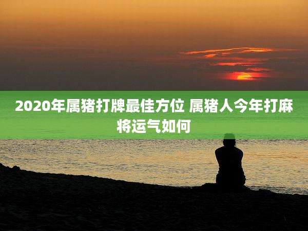 2020年属猪打牌最佳方位 属猪人今年打麻将运气如何
