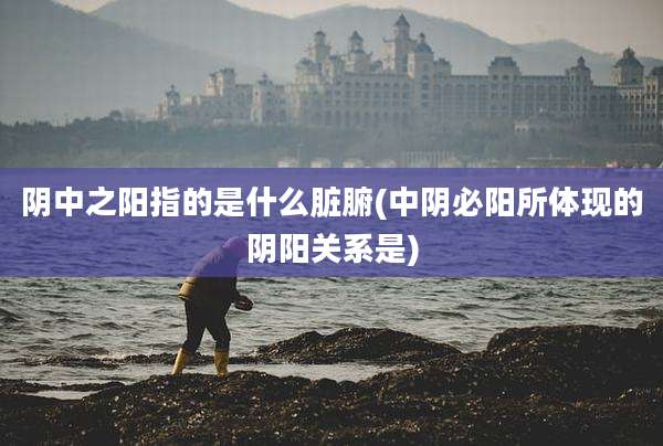 阴中之阳指的是什么脏腑(中阴必阳所体现的阴阳关系是)