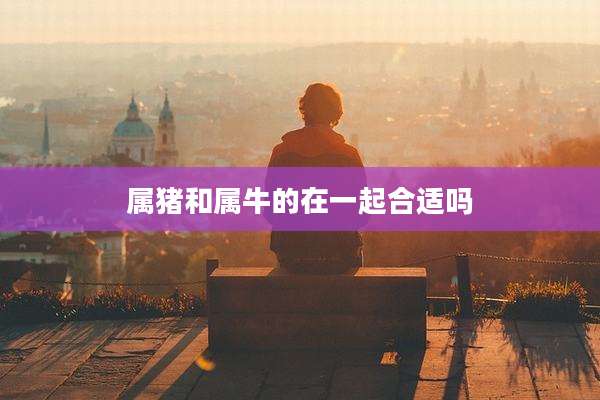 属猪和属牛的在一起合适吗