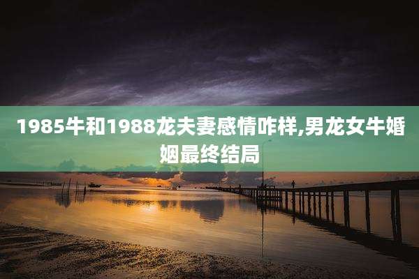 1985牛和1988龙夫妻感情咋样,男龙女牛婚姻最终结局
