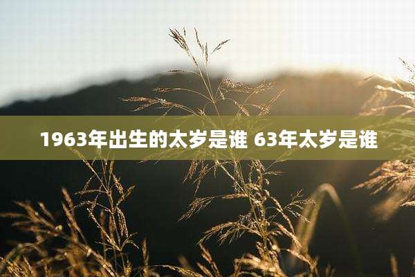 1963年出生的太岁是谁 63年太岁是谁