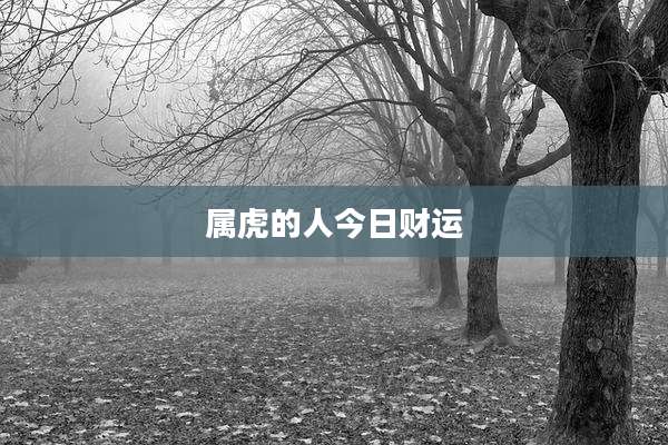 属虎的人今日财运
