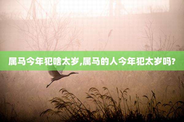 属马今年犯啥太岁,属马的人今年犯太岁吗?