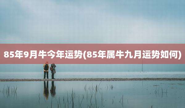 85年9月牛今年运势(85年属牛九月运势如何)