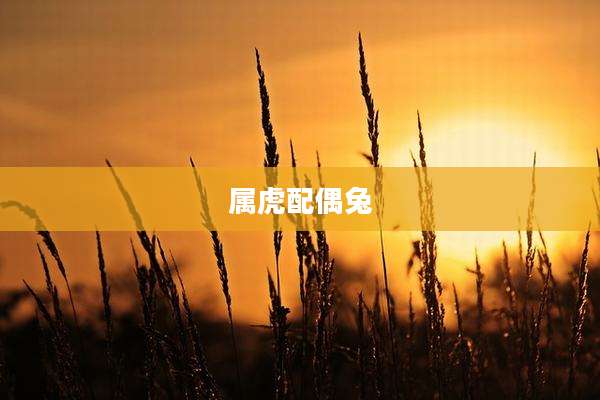 属虎配偶兔