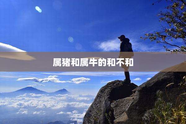 属猪和属牛的和不和