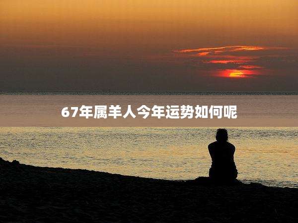 67年属羊人今年运势如何呢