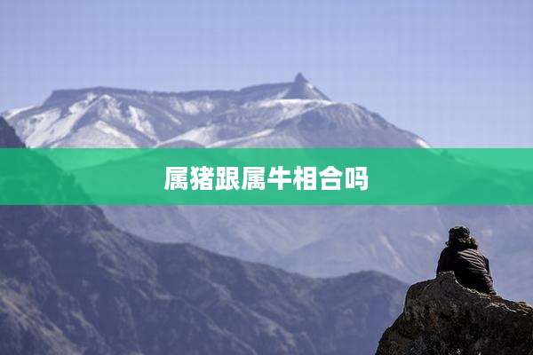 属猪跟属牛相合吗