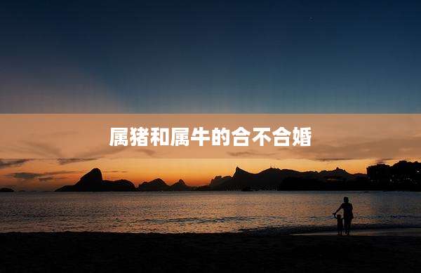 属猪和属牛的合不合婚
