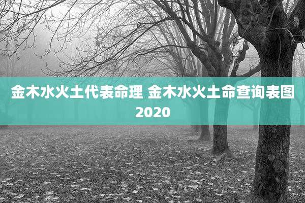金木水火土代表命理 金木水火土命查询表图2020