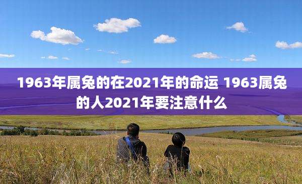 1963年属兔的在2021年的命运 1963属兔的人2021年要注意什么
