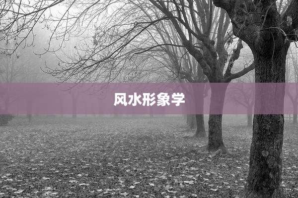 风水形象学