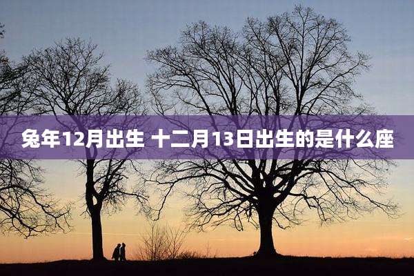 兔年12月出生 十二月13日出生的是什么座