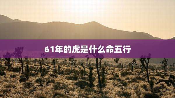 61年的虎是什么命五行