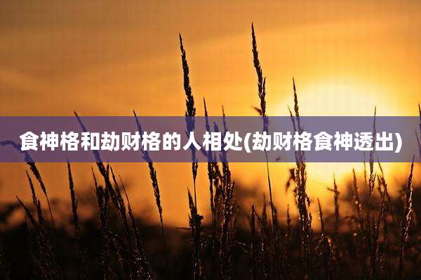 食神格和劫财格的人相处(劫财格食神透出)