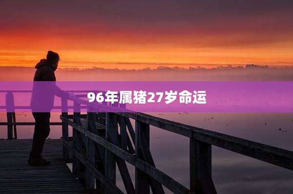 96年属猪27岁命运