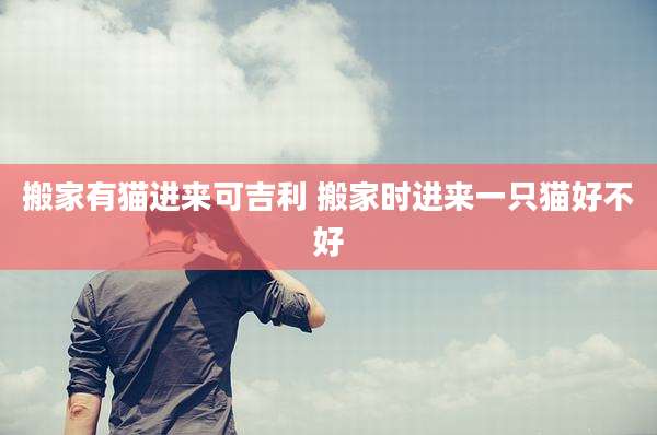 搬家有猫进来可吉利 搬家时进来一只猫好不好