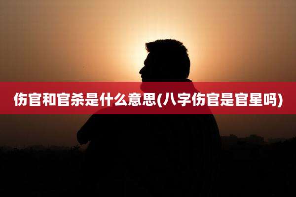 伤官和官杀是什么意思(八字伤官是官星吗)