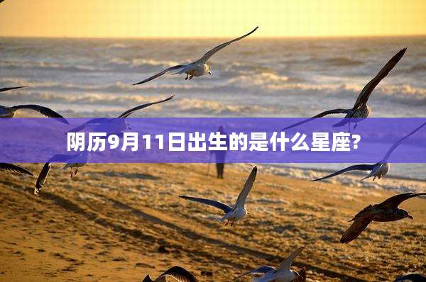阴历9月11日出生的是什么星座?