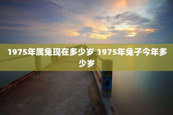1975年属兔现在多少岁 1975年兔子今年多少岁