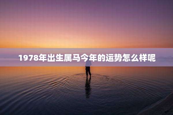 1978年出生属马今年的运势怎么样呢