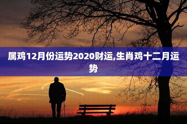 属鸡12月份运势2020财运,生肖鸡十二月运势