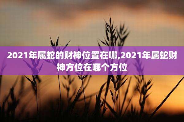 2021年属蛇的财神位置在哪,2021年属蛇财神方位在哪个方位