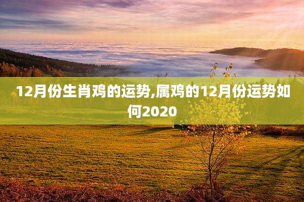 12月份生肖鸡的运势,属鸡的12月份运势如何2020
