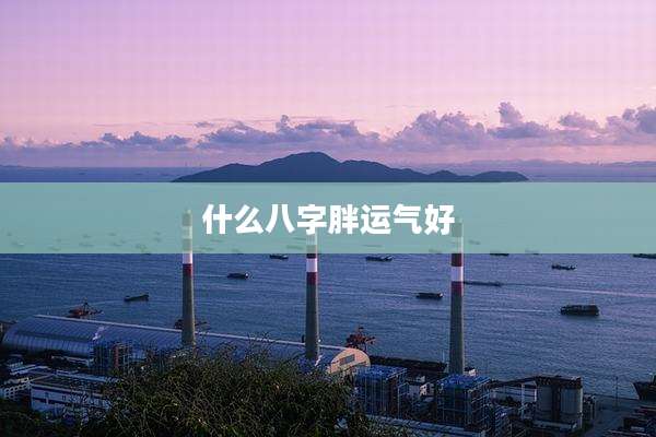 什么八字胖运气好