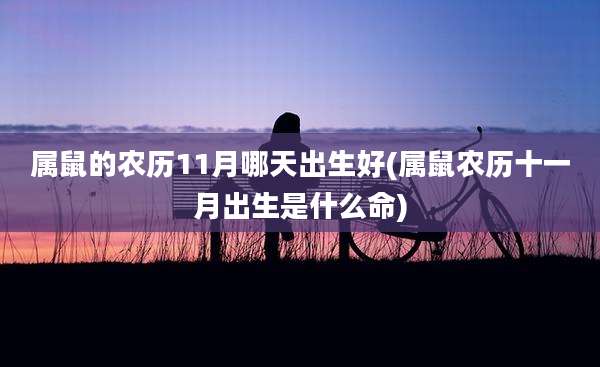 属鼠的农历11月哪天出生好(属鼠农历十一月出生是什么命)