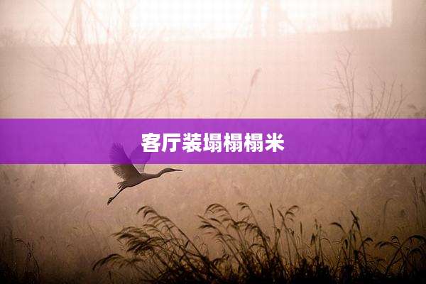 客厅装塌榻榻米
