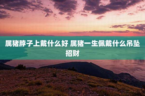 属猪脖子上戴什么好 属猪一生佩戴什么吊坠招财